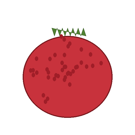 Grenade